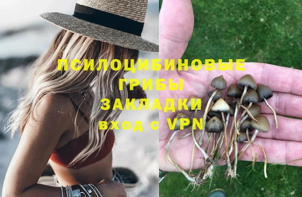 ешки Богородицк