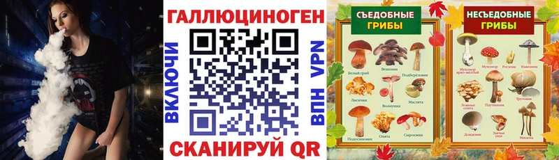 KRAKEN ONION  как найти   Гулькевичи  Псилоцибиновые грибы мухоморы 