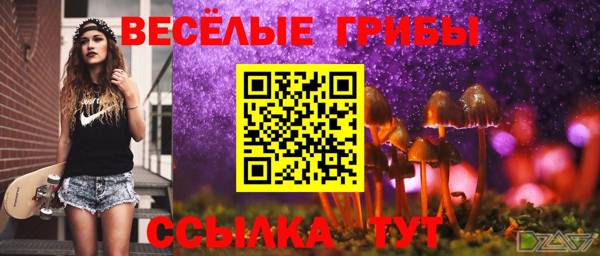 Галлюциногенные грибы Magic Shrooms Гулькевичи