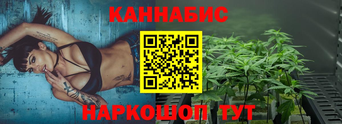 Конопля MAZAR  МАРИХУАНА OG Kush  Бошки Шишки сатива  Гулькевичи  Вход с VPN 